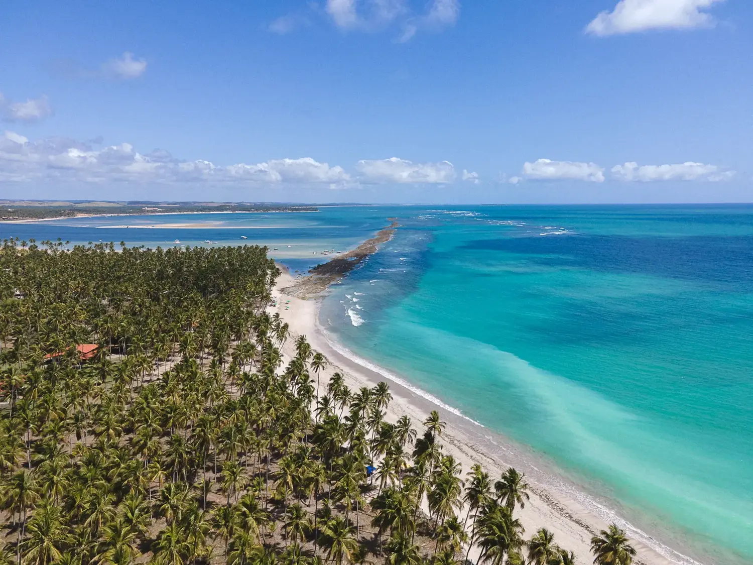 Coqueirais e areia branca